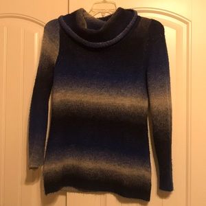 Turtle Neck Sweater